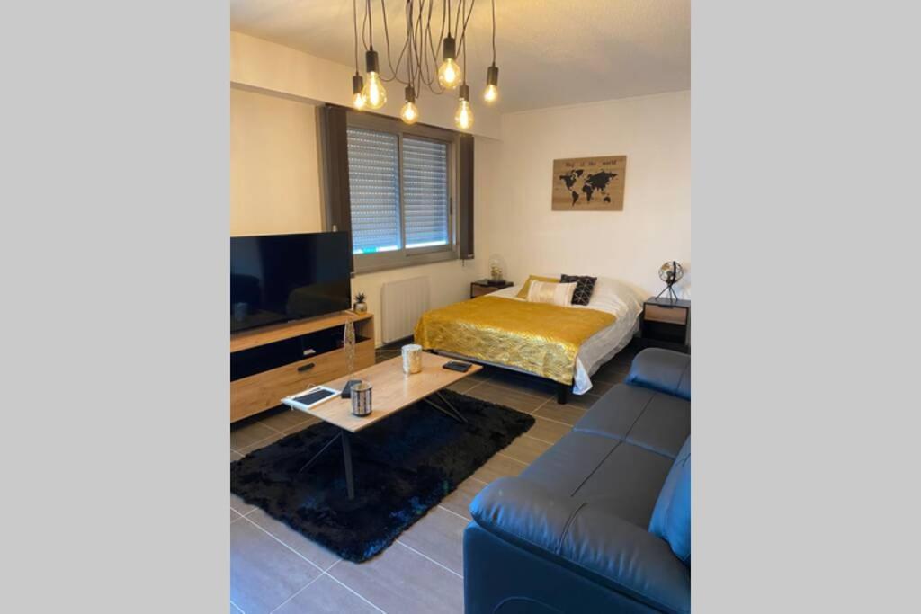 Le 12 Du Temple - Plein Coeur Centre Ville, Residence Privee, 5Mn Gare Sncf, Wifi Et Netflix Ньор Экстерьер фото